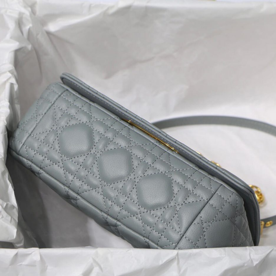 SMALL D10r CARO BAG