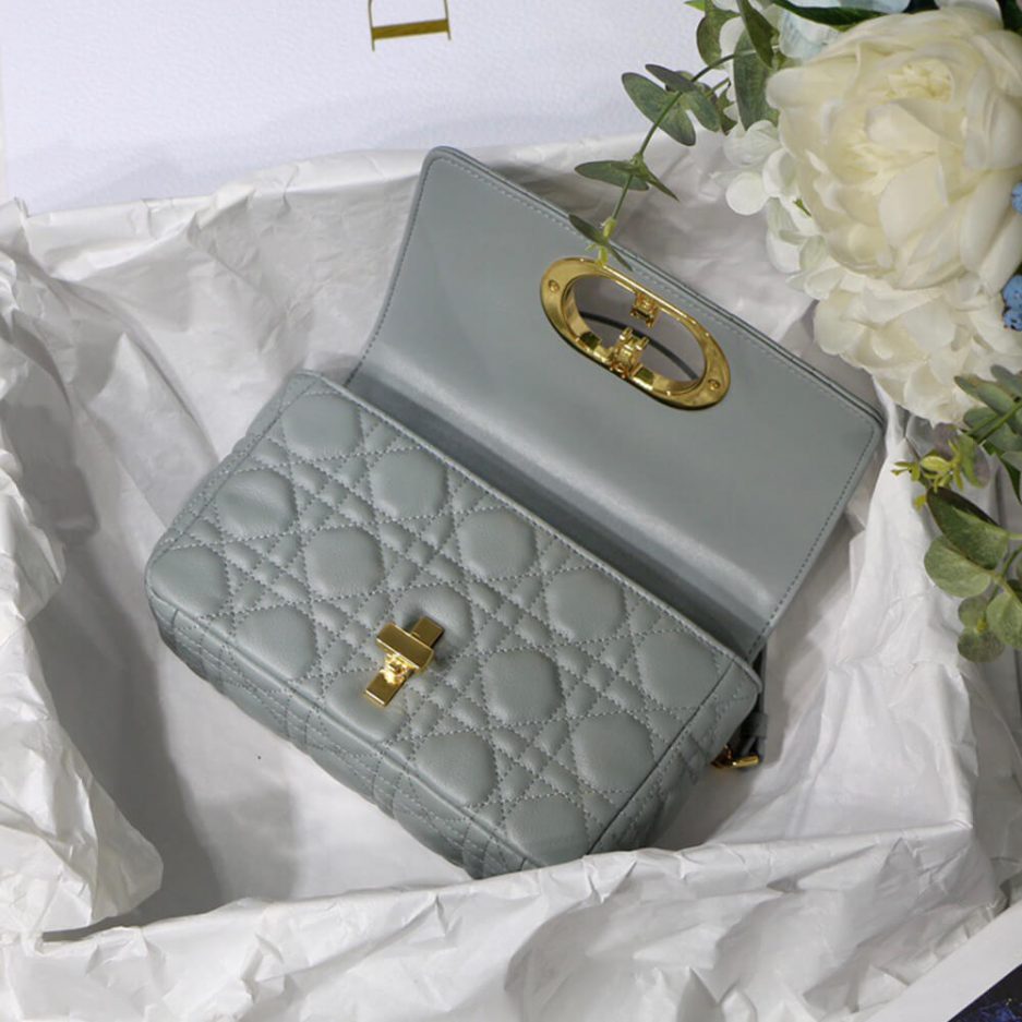 SMALL D10r CARO BAG