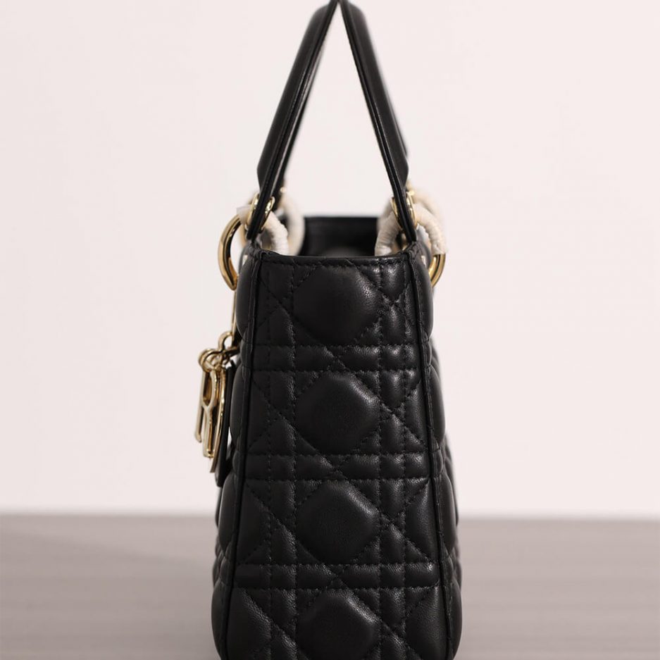 SMALL LADY D10r BAG