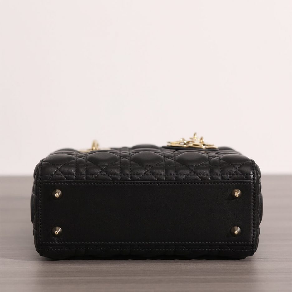 SMALL LADY D10r BAG