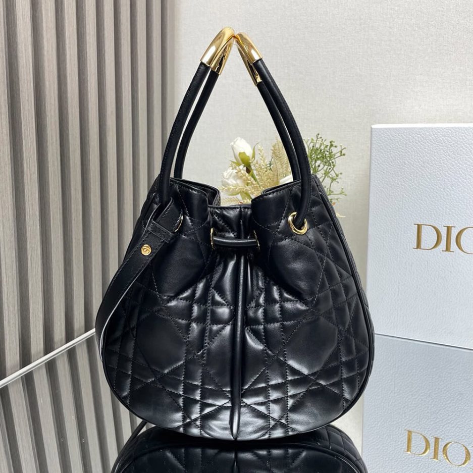 Medium D10r Nolita Bag