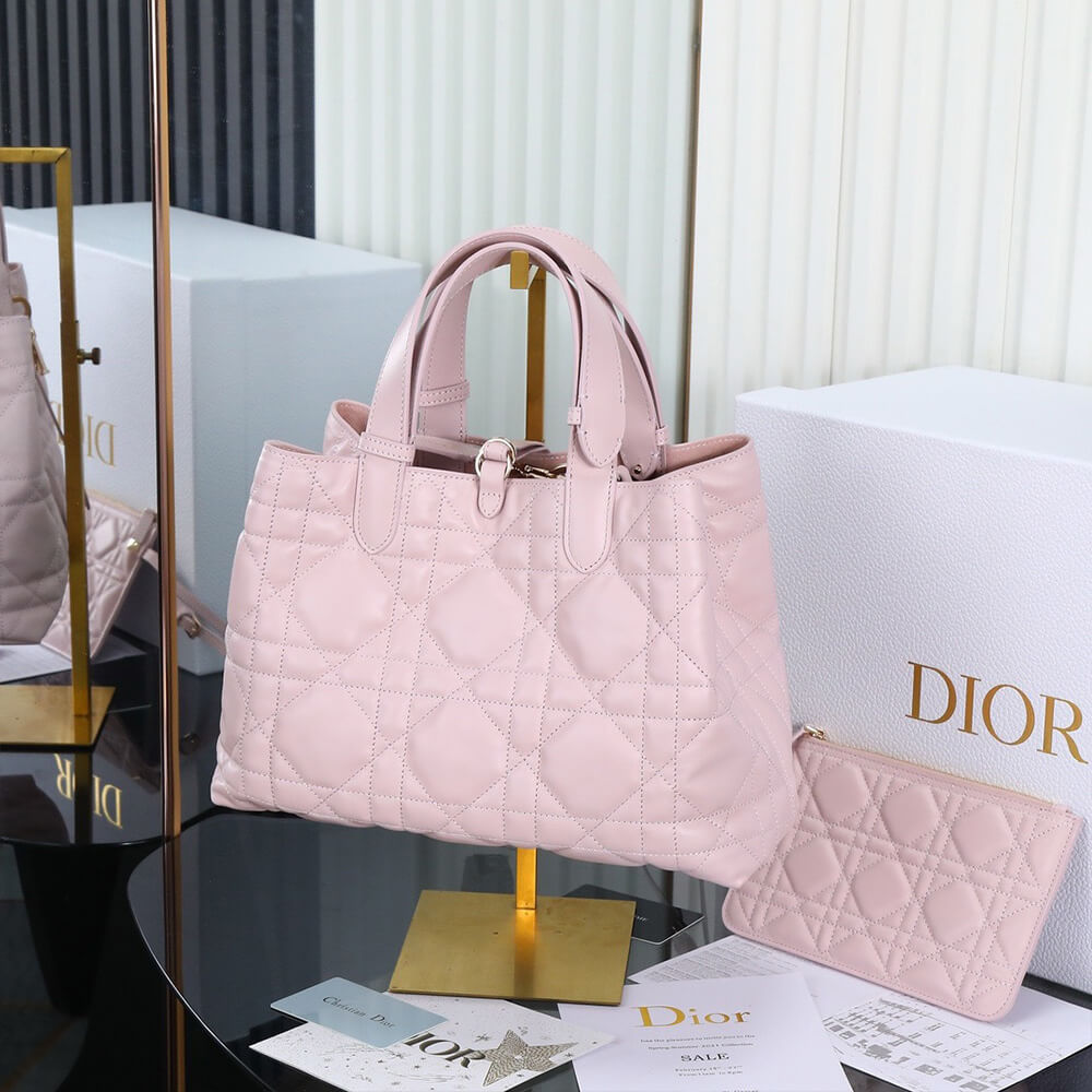 MEDIUM D10r TOUJOURS BAG(HIGH-END Grade)