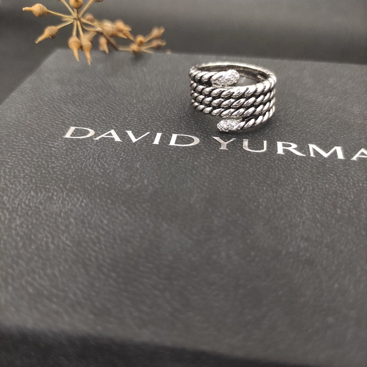 dau1d Yvrm*n ring