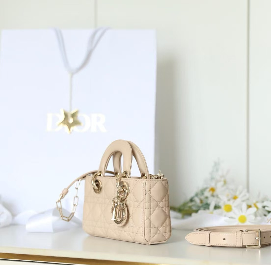 D10r mini lady d-joy bag 19x10.5x5.5cm