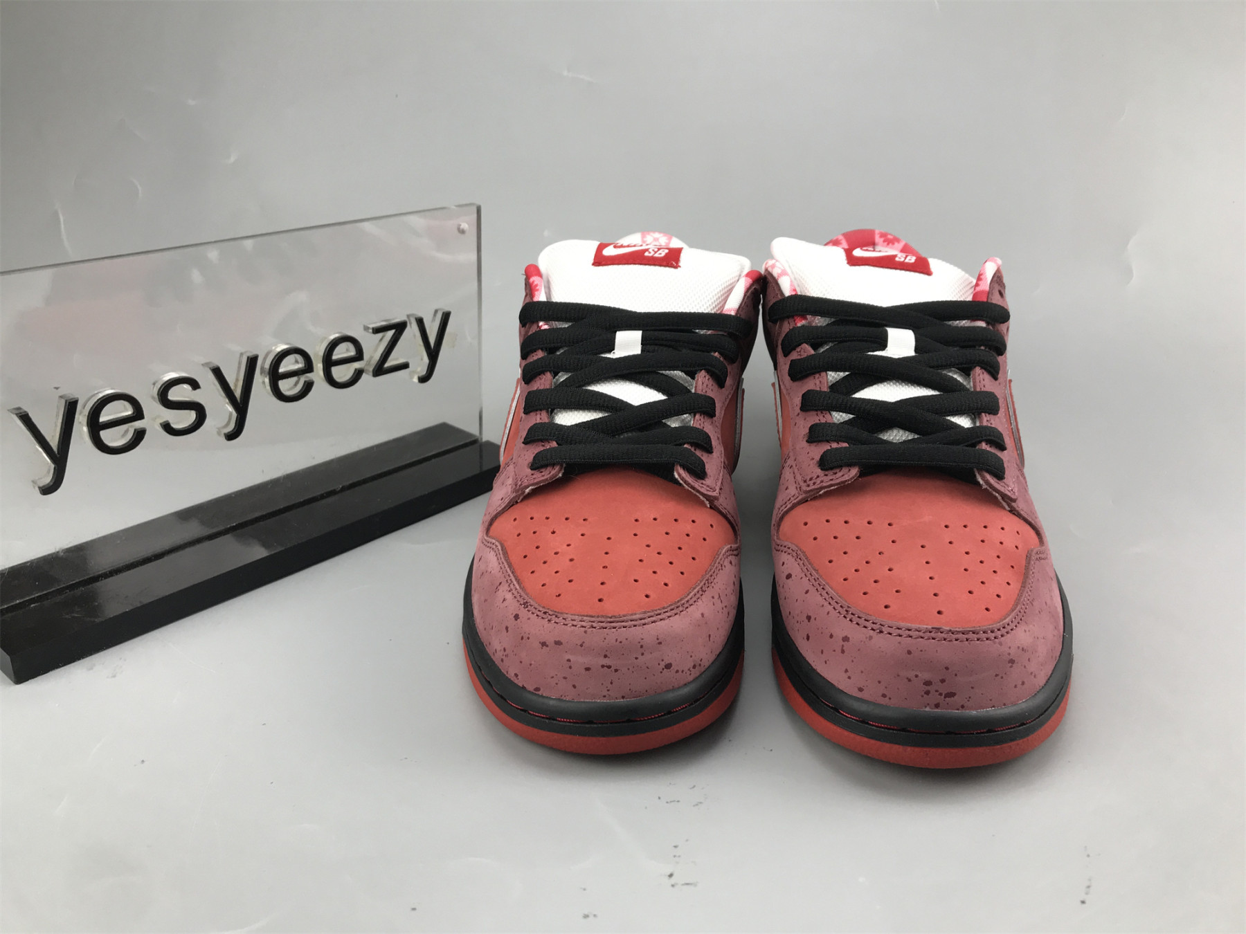 ua nike dunk low preM1vm sb 