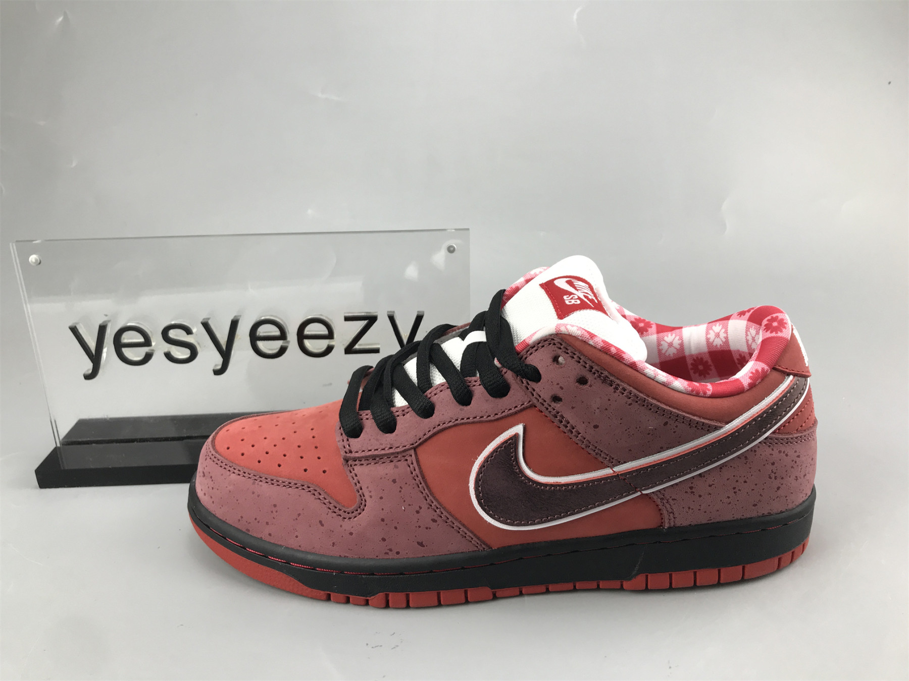 ua nike dunk low preM1vm sb 