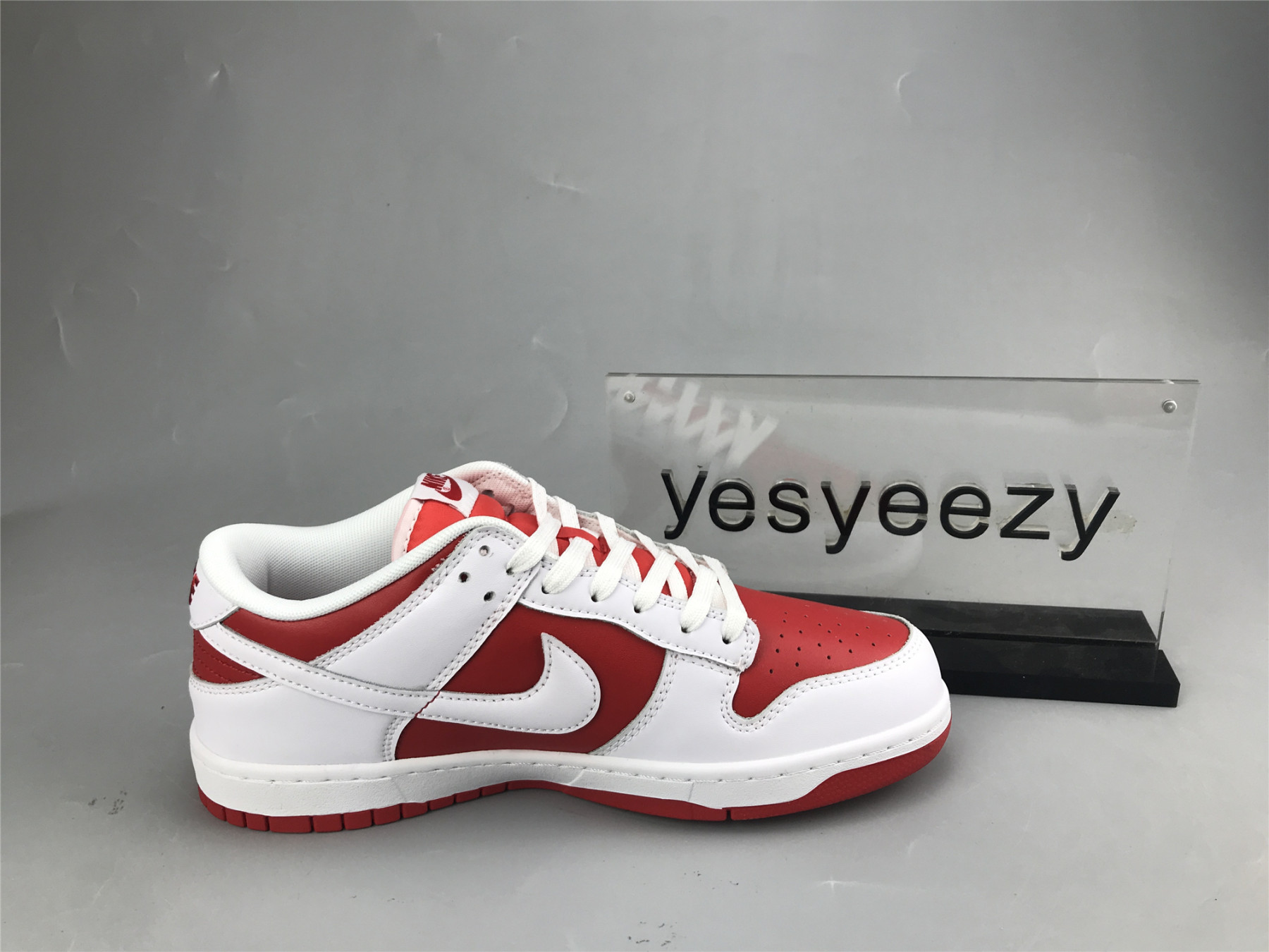 UA NIKE DUNK LOW 