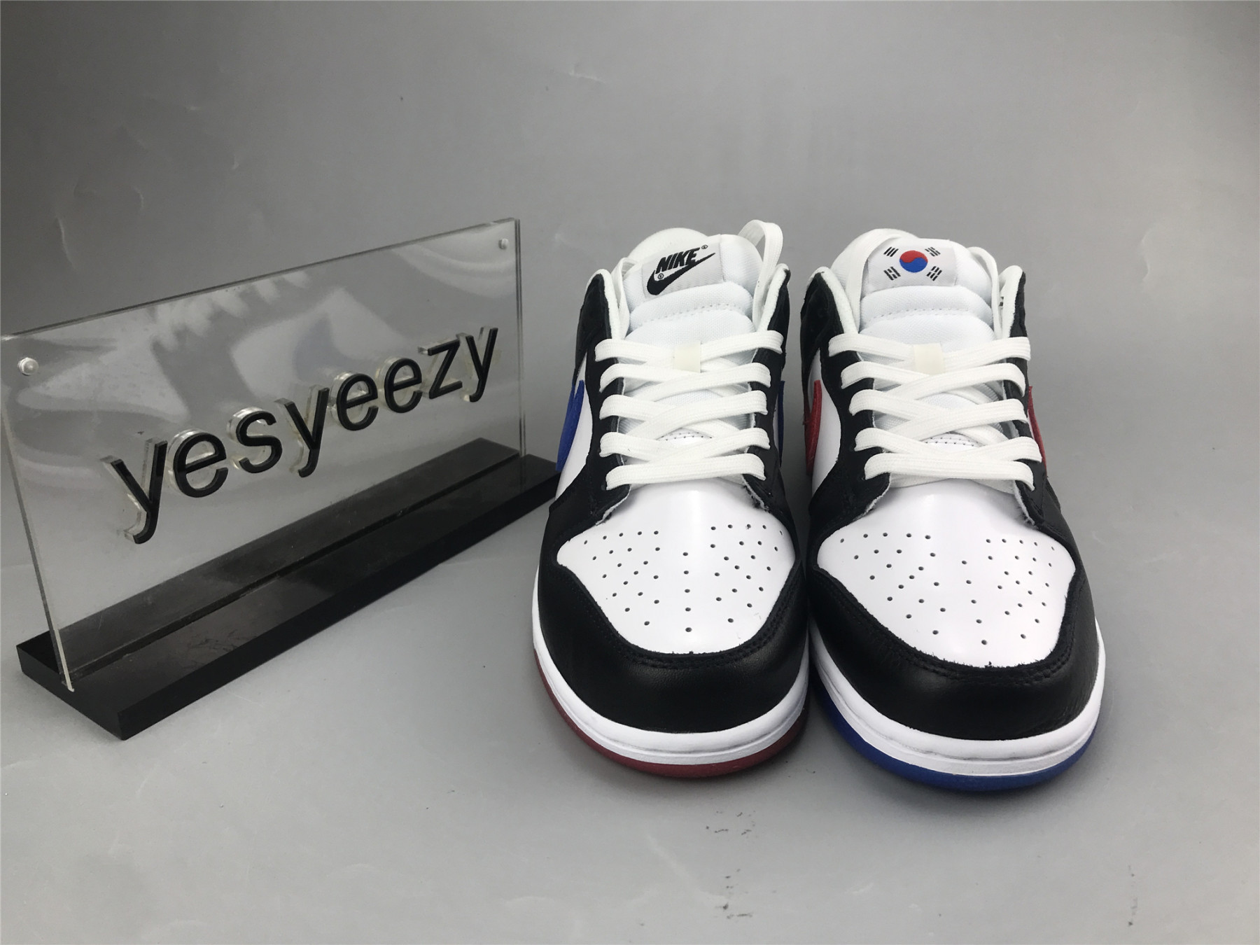 UA NIKE DUNK LOW 