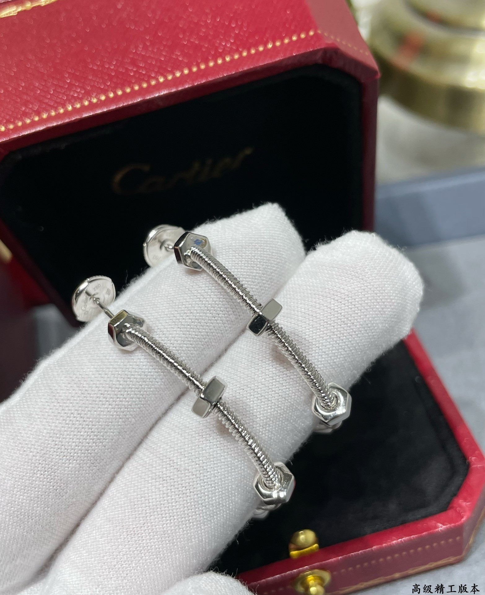Ca*t1er Screw Earrings