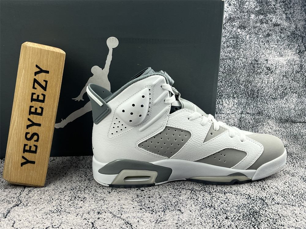 UA AIR JORDAN 6 RETRO
