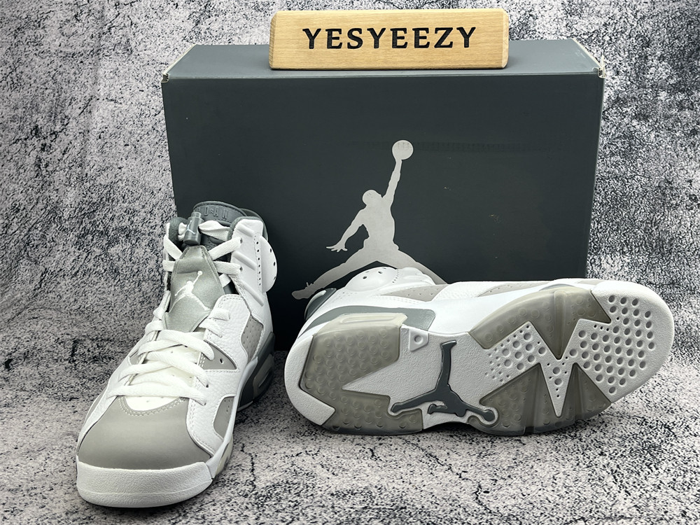 UA AIR JORDAN 6 RETRO