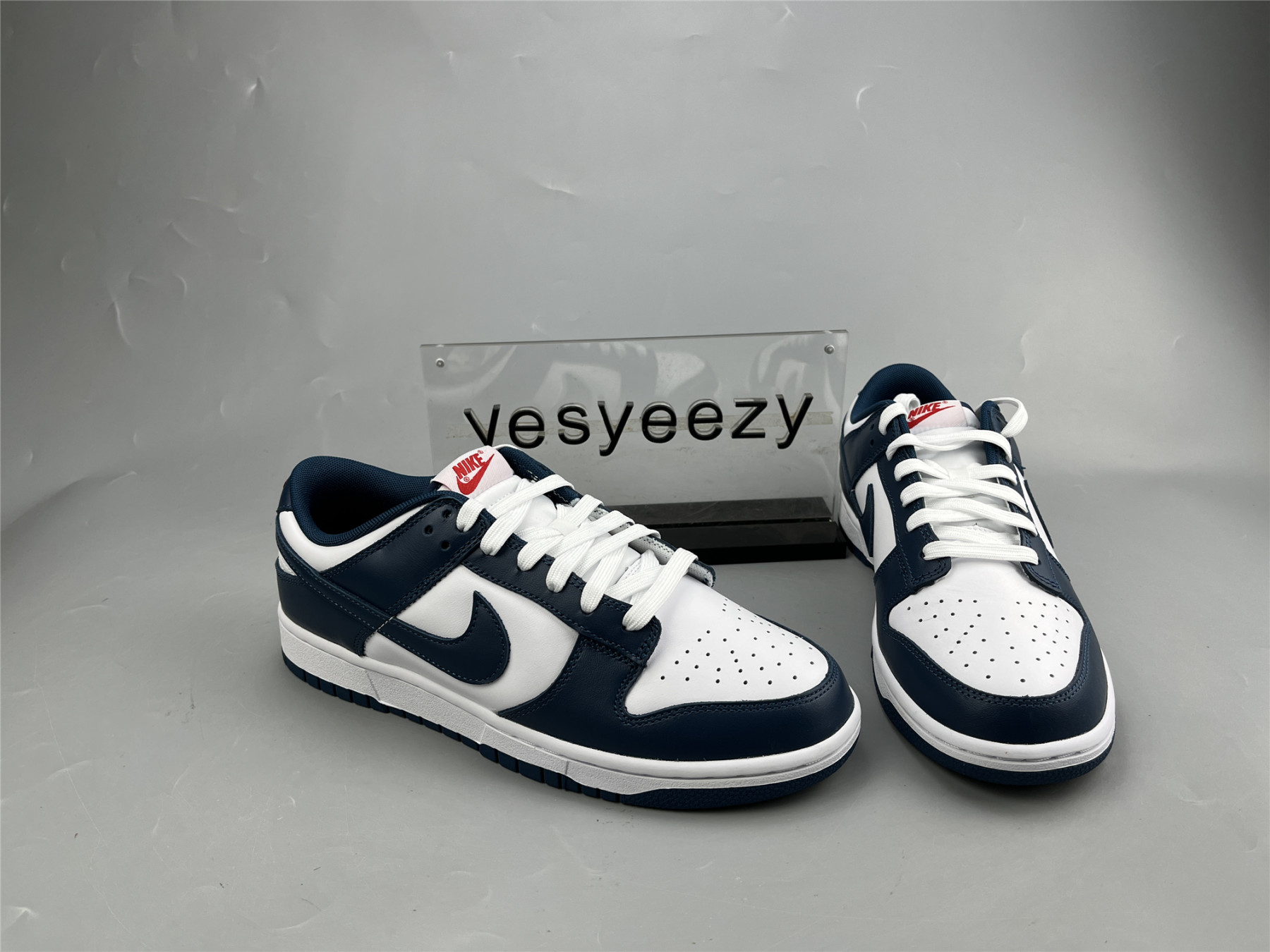 UA NIKE DUNK LOW 