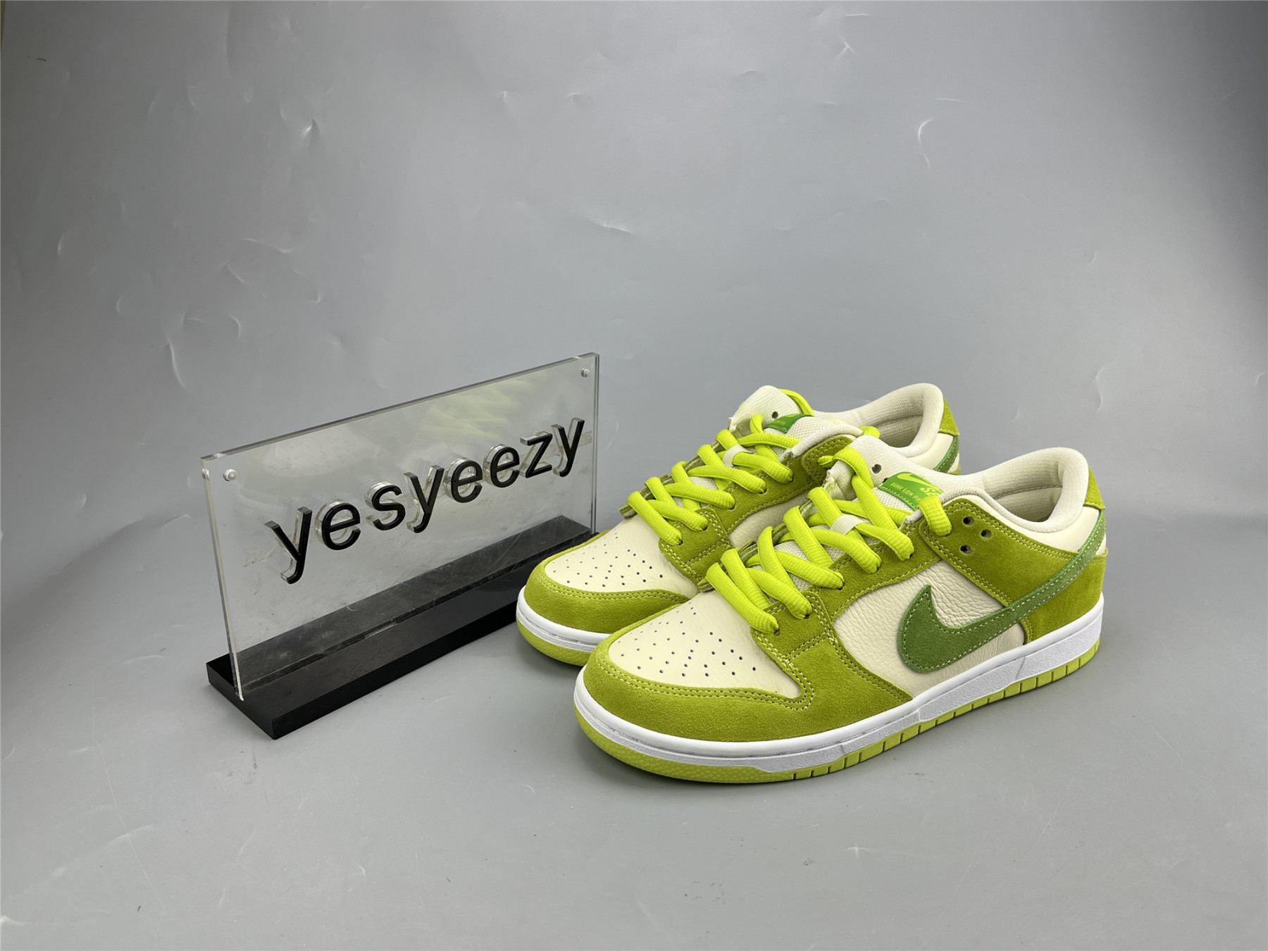 UA NIKE DUNK LOW PRO SB