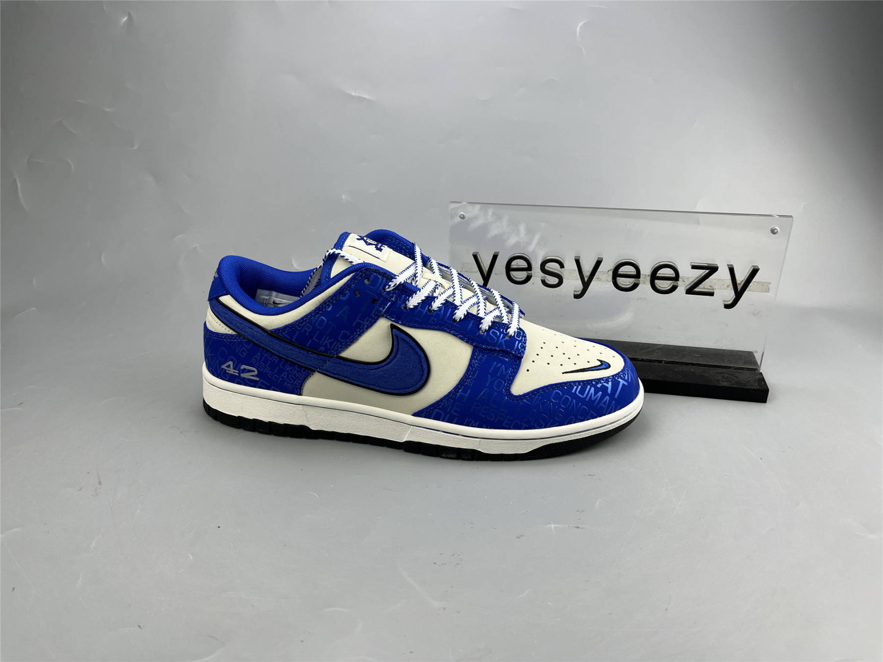 UA NIKE DUNK LOW GS
