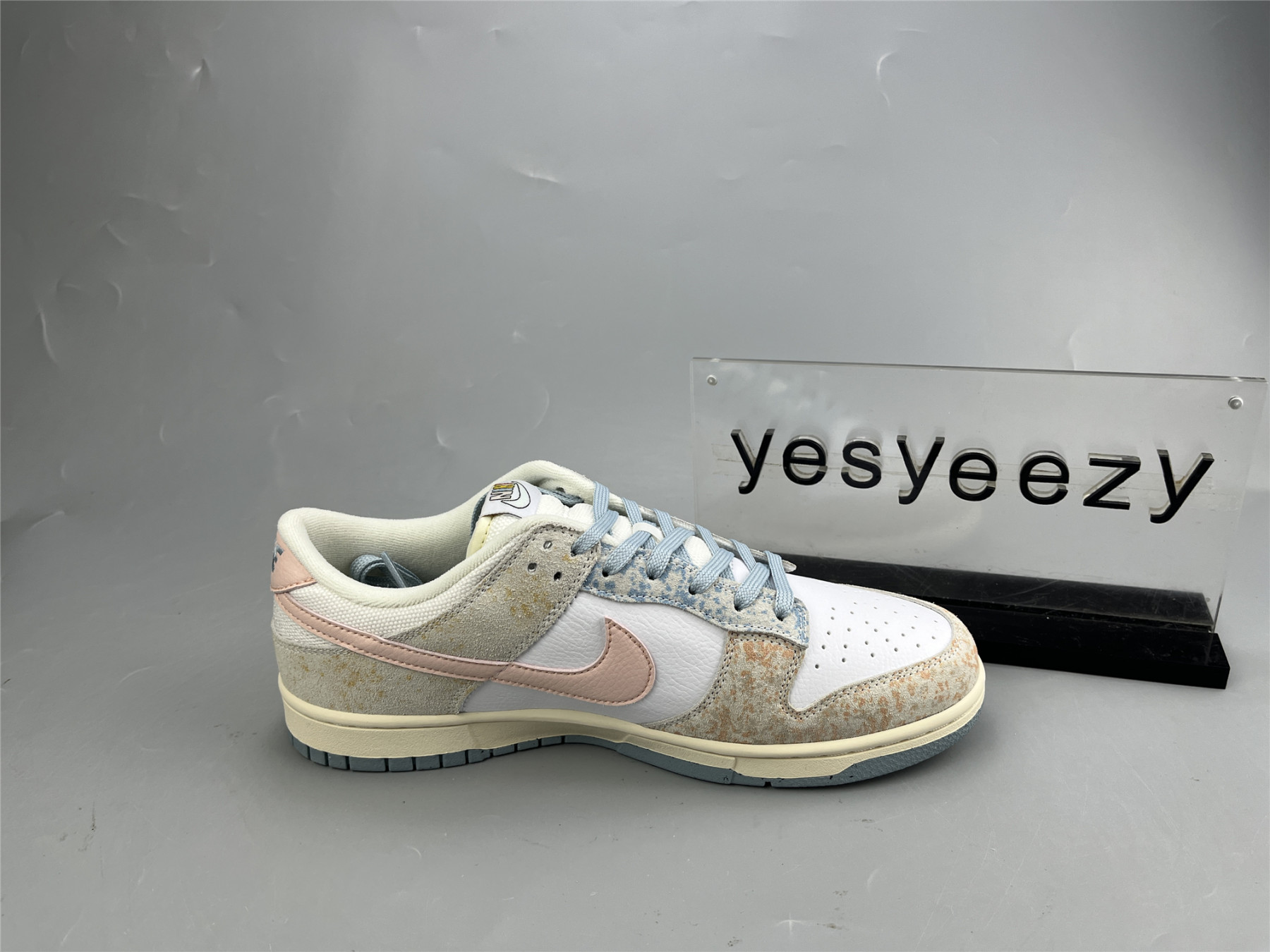 UA NIKE DUNK LOW 