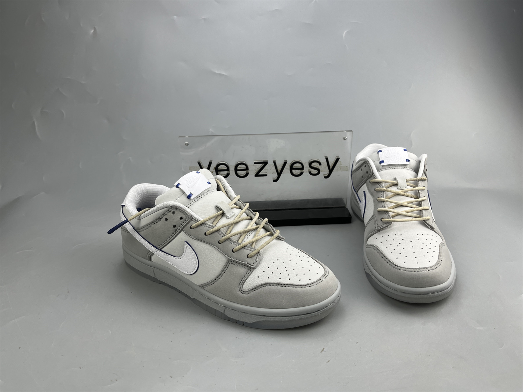 UA NIKE DUNK LOW 