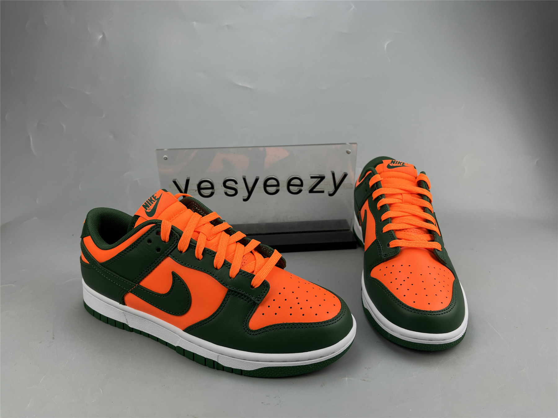 UA NIKE DUNK LOW 