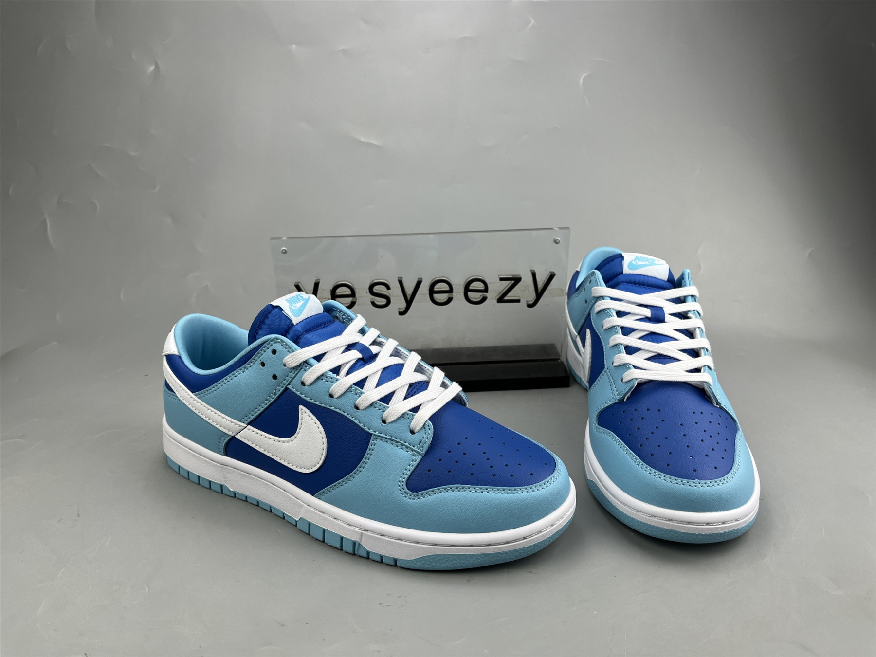 UA NIKE DUNK LOW RETRO QS