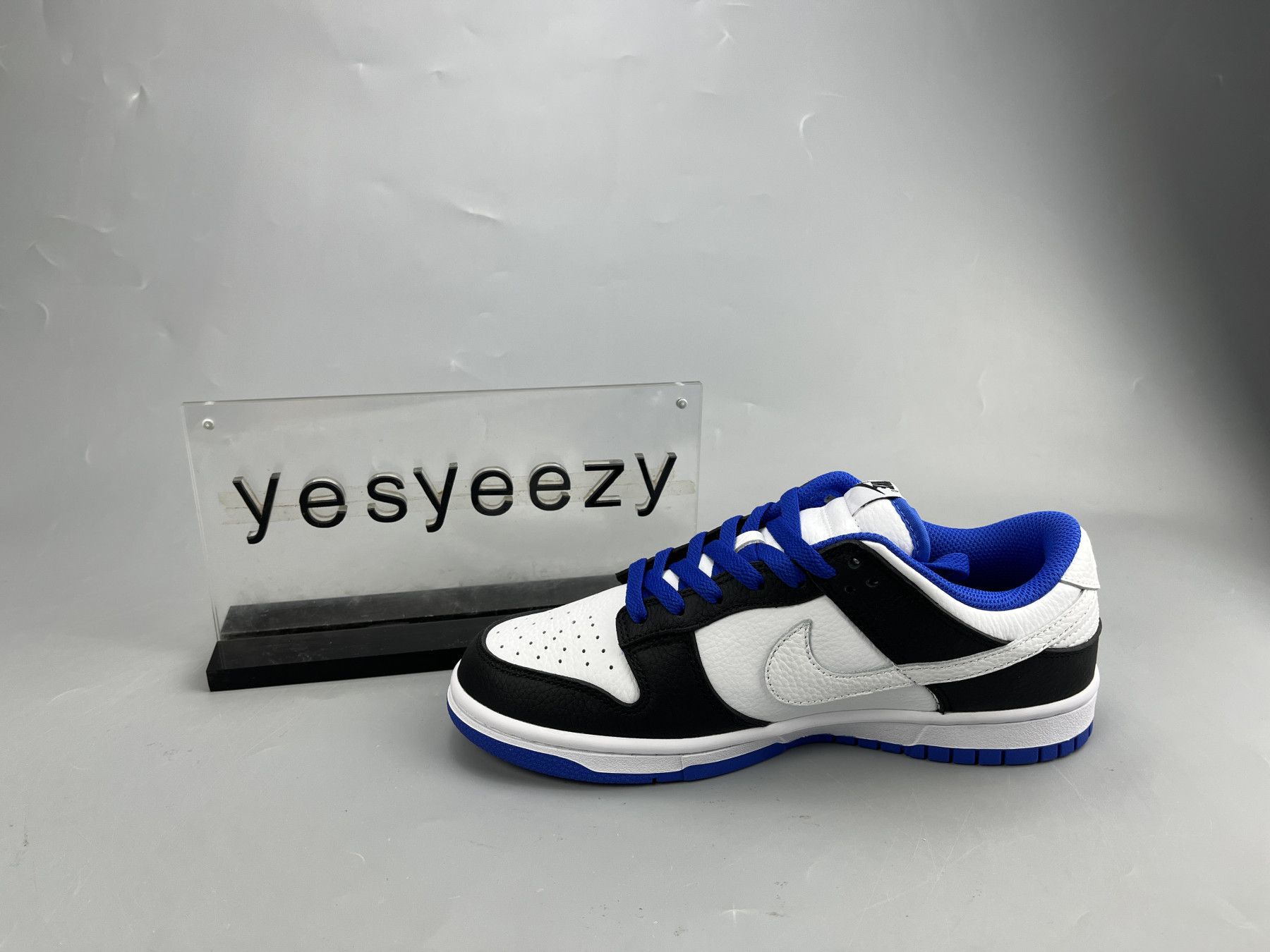 UA NIKE DUNK LOW