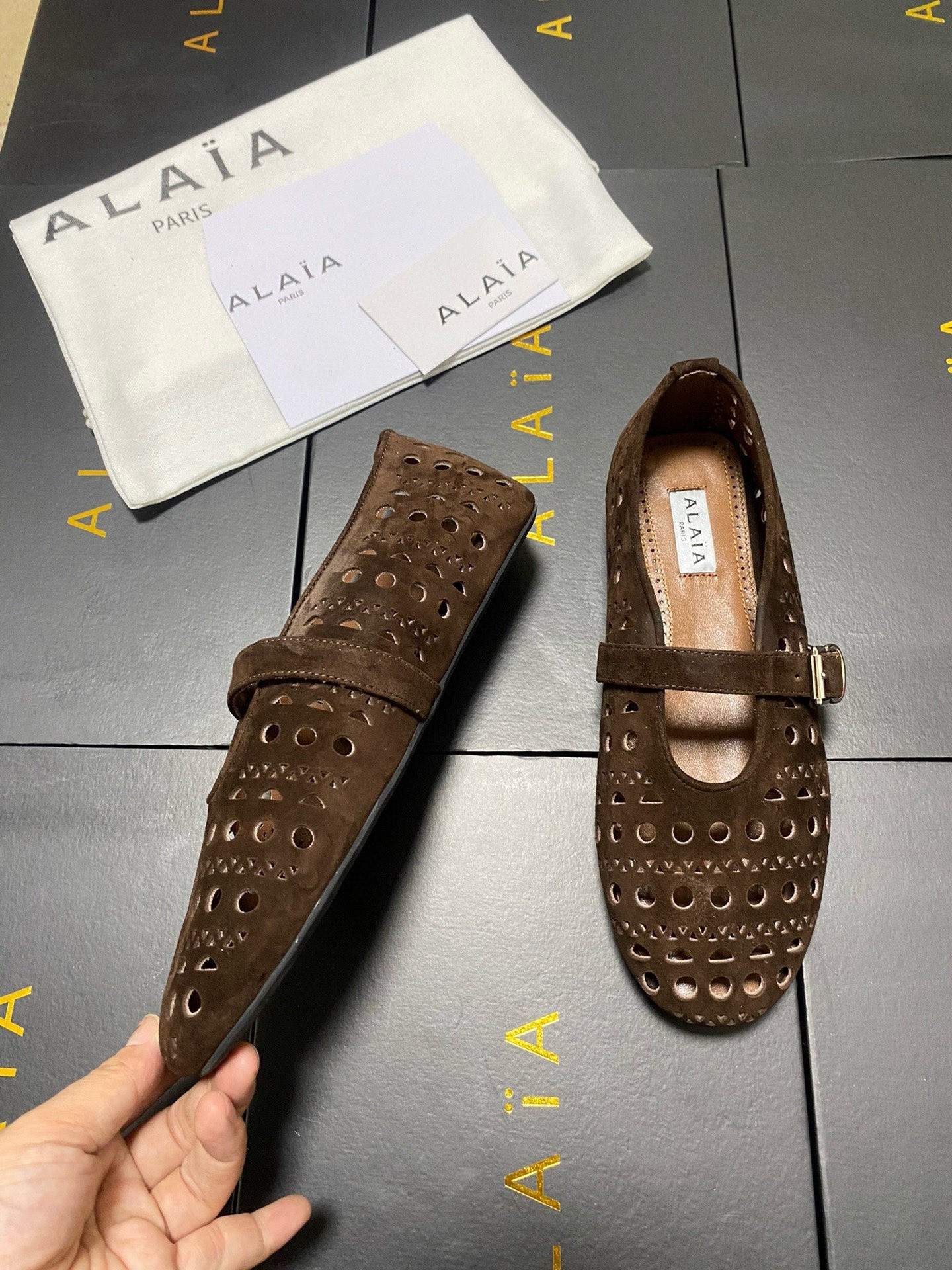 UA A1a1a Vienne BALLET FLATS