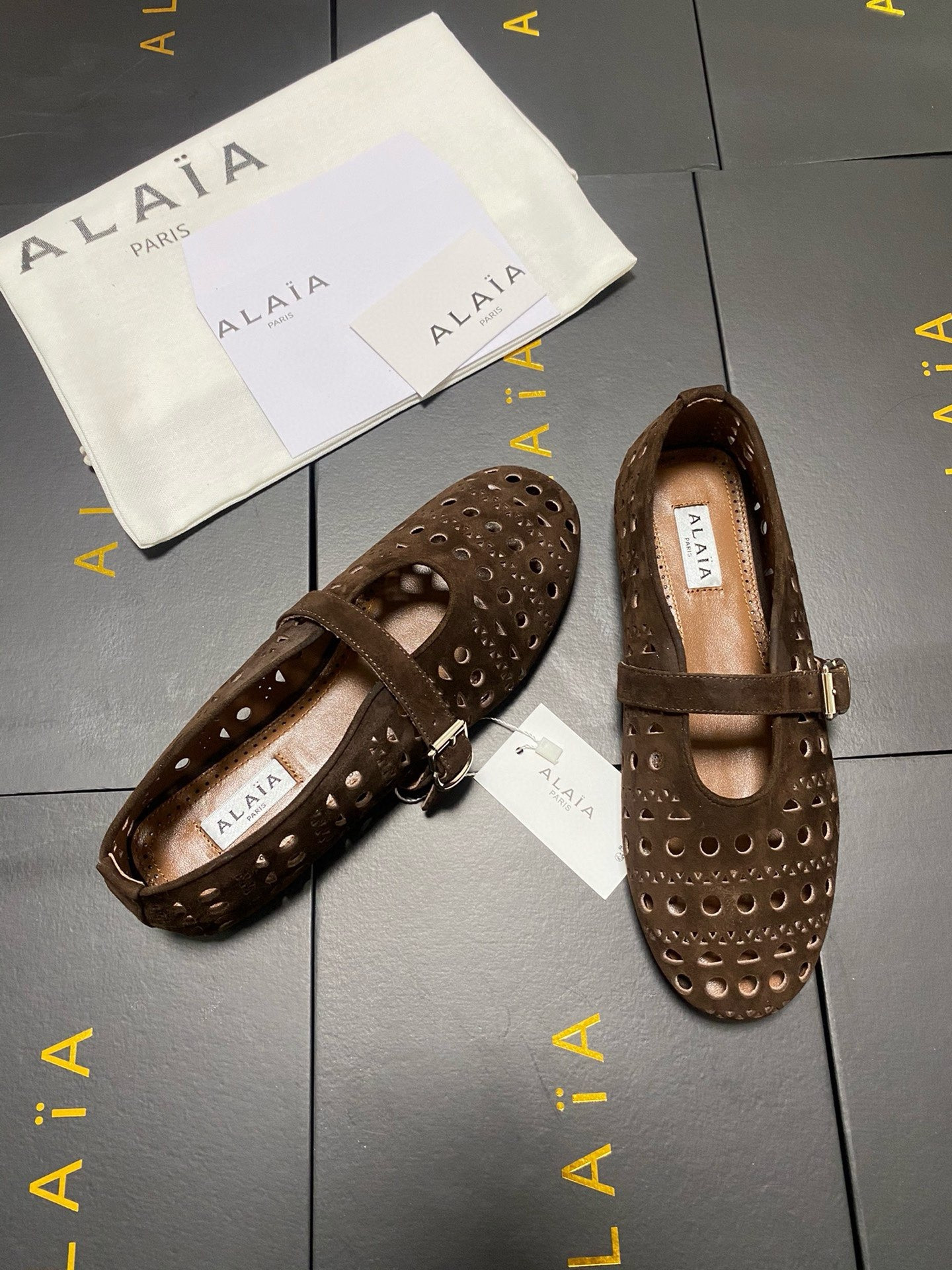 UA A1a1a Vienne BALLET FLATS