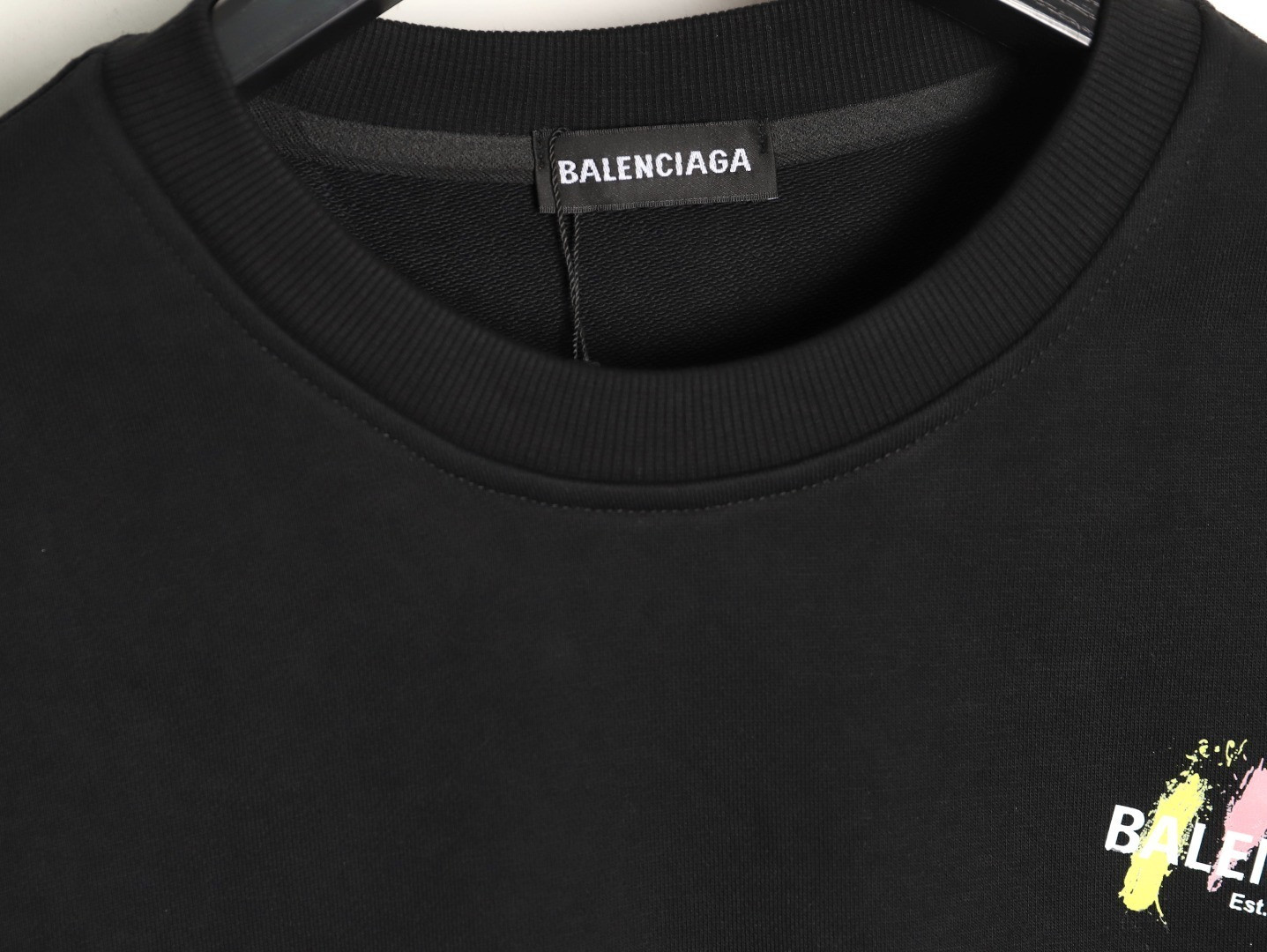 Ba1en*iaga 25FW Hoodies