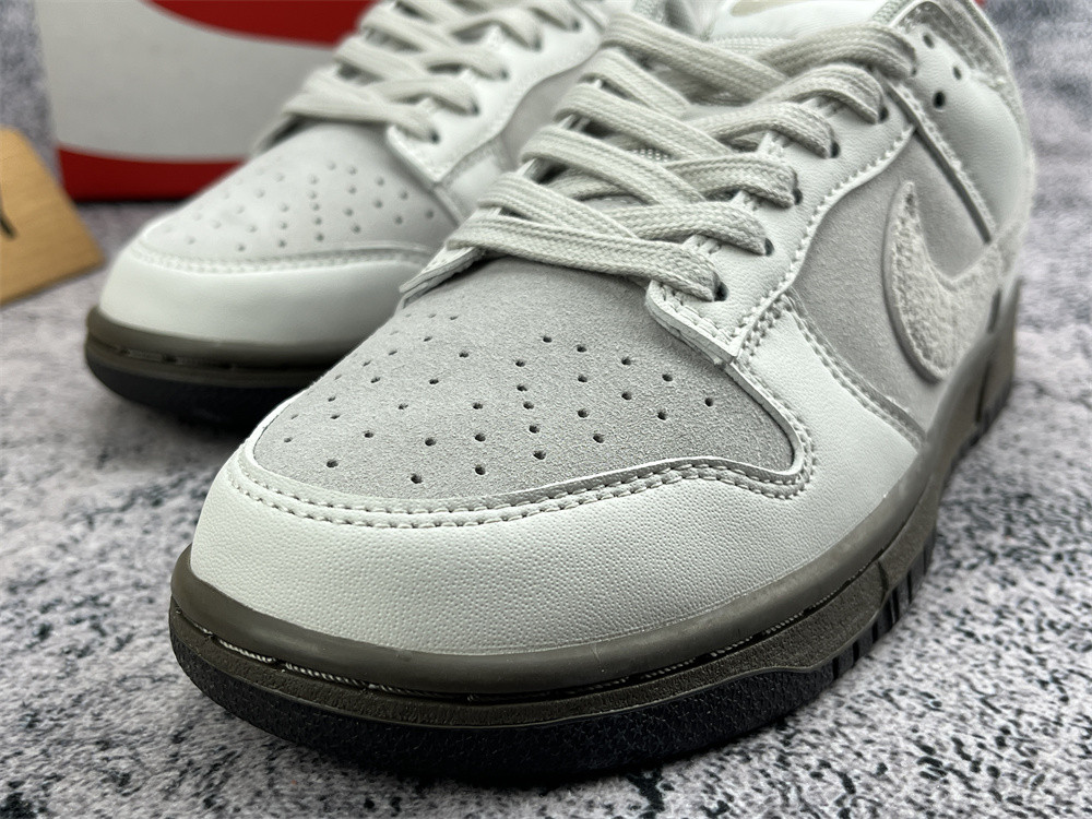 UA NIKE DUNK LOW 