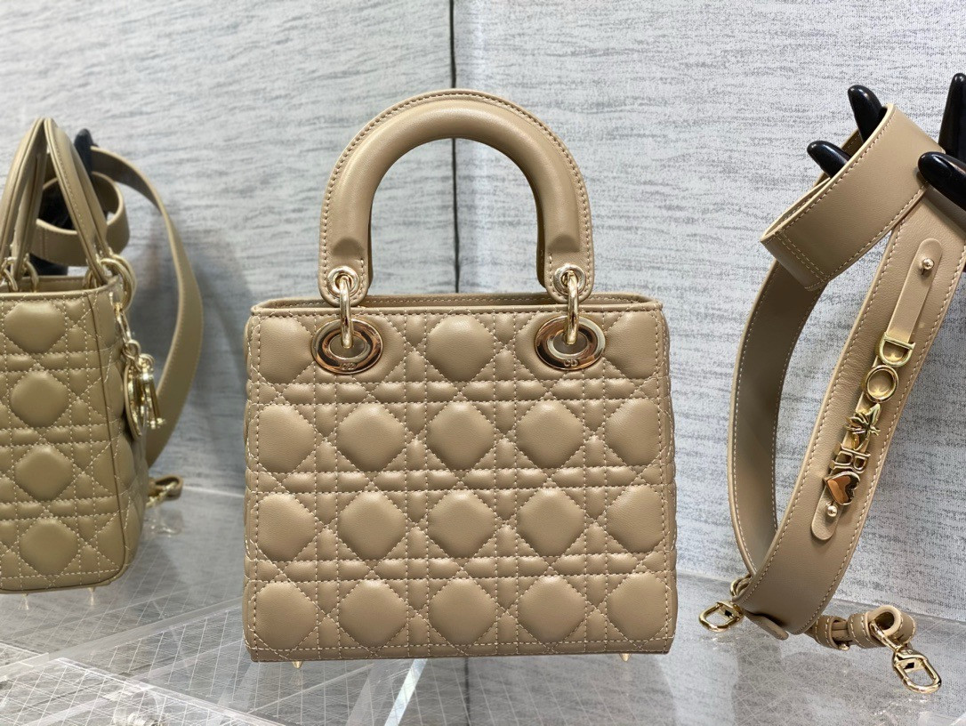 Medium Lady D10r Bag 24 x 20 x 12 cm