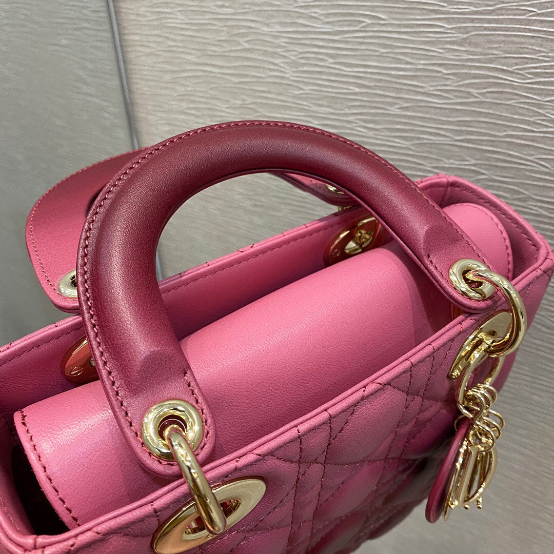 Small Lady D10r Bag 8 x 6.5 x 3 inches