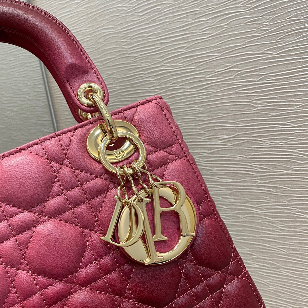 Small Lady D10r Bag 8 x 6.5 x 3 inches