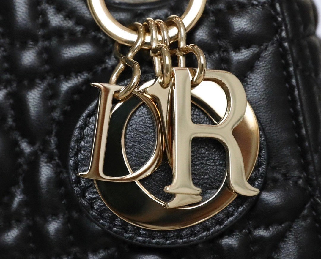 Mini Lady D10r Bag 17cm  6.5 x 6 x 3 inches
