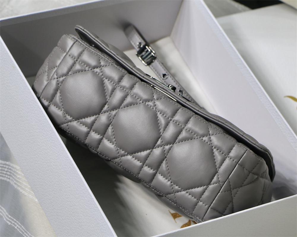 MEDIUM D10r CARO BAG Grey S*pple Cannage Calfskin With Silver Hardware 25.5 x 15.5 x 8 cm