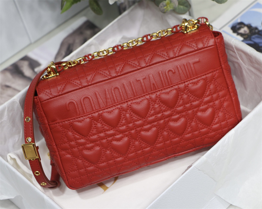 MEDIUM D10r CARO BAG amour red 25.5 x 15.5 x 8 cm