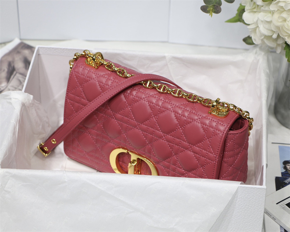 MEDIUM D10r CARO BAG S*pple Cannage Calfskin 25.5 x 15.5 x 8 cm