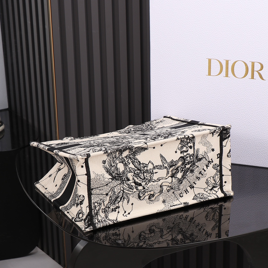 Medium D10r Book Tote De Jouy Zodiac 14 x 11 x 6.5 inches