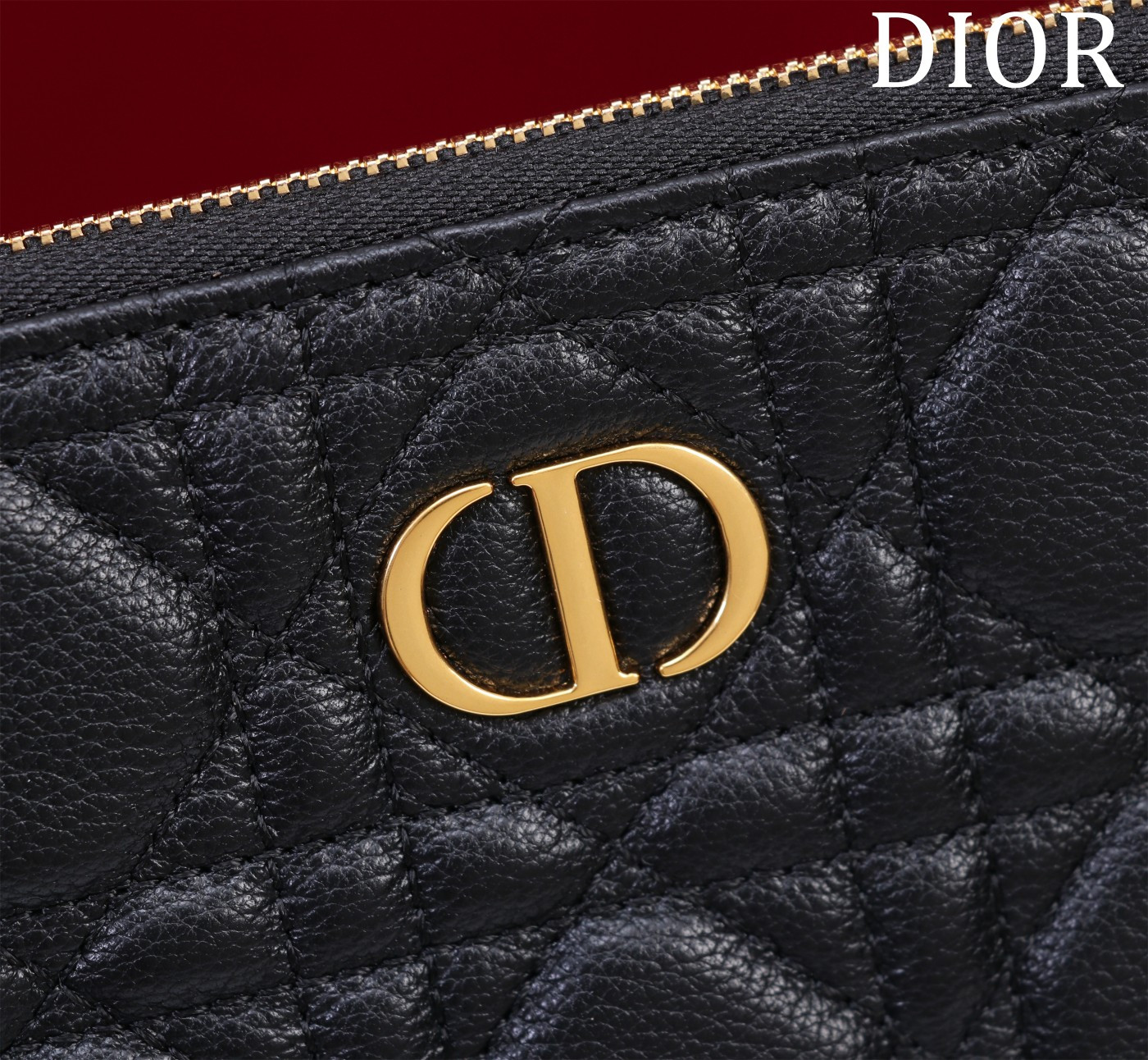 Large D10r Caro Daily Pouch 30 x 21.5 cm