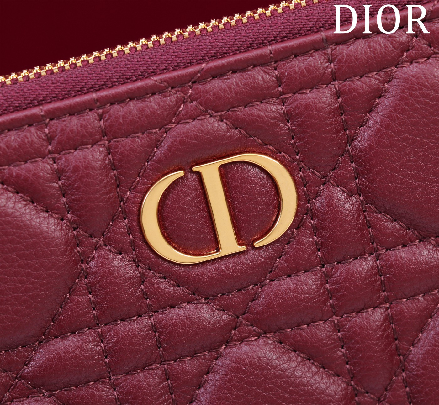 Large D10r Caro Daily Pouch 30 x 21.5 cm