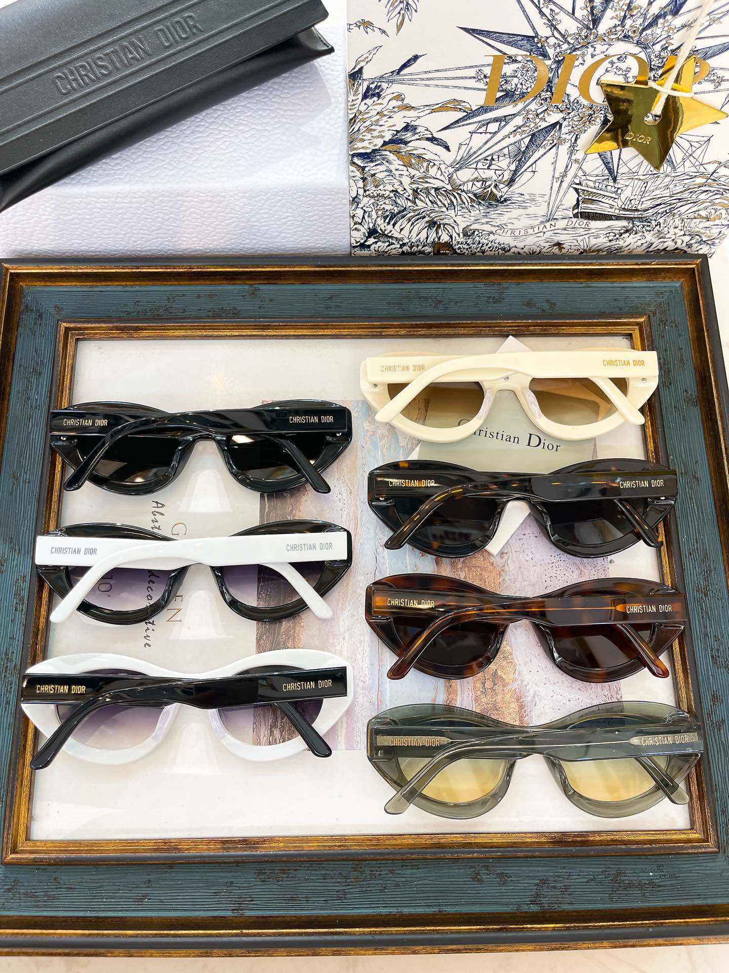 D10r Glasses MeteorB1I 51-21-145